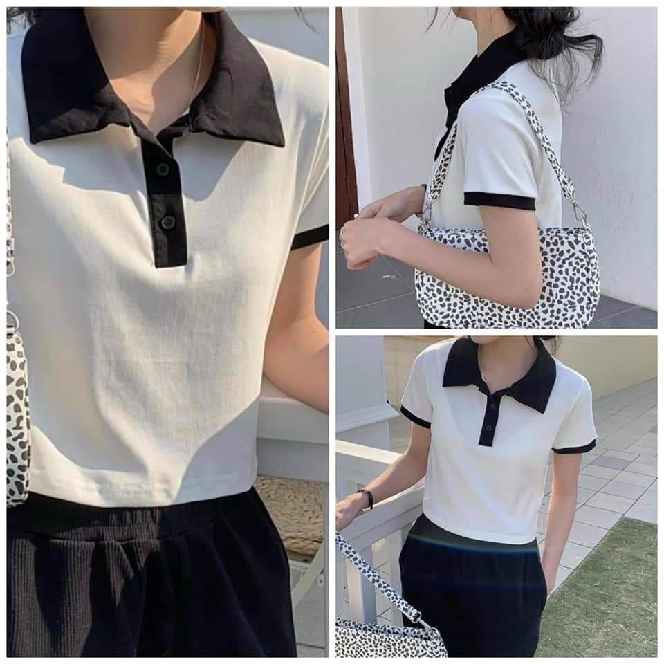 Áo croptop    Áo thun nữ cổ polo khác màu thời trang XIXO - ATN0036