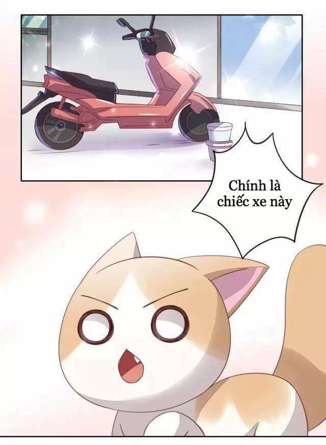 dưới móng vuốt mèo chapter 15 20