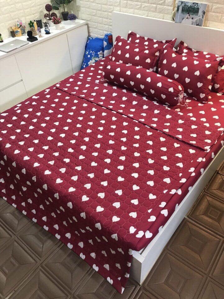 Bộ Chăn Ga Gối Cottong Poly Hè Thu 5 Món Tim Đỏ