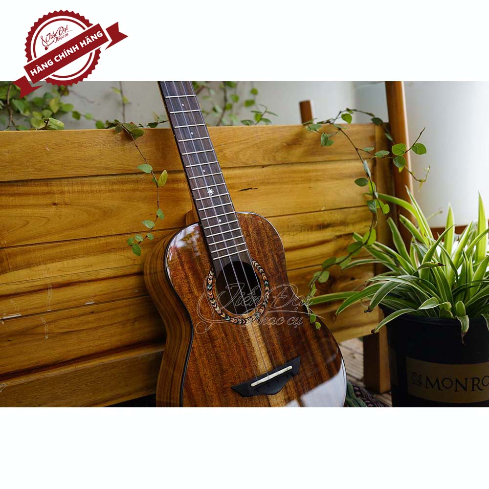 Đàn Ukulele Concert SQOE SQ UK-2420C, Gỗ KOA Nguyên Tấm Cao Cấp, Kèm Quà Tặng - Hàng Chính Hãng