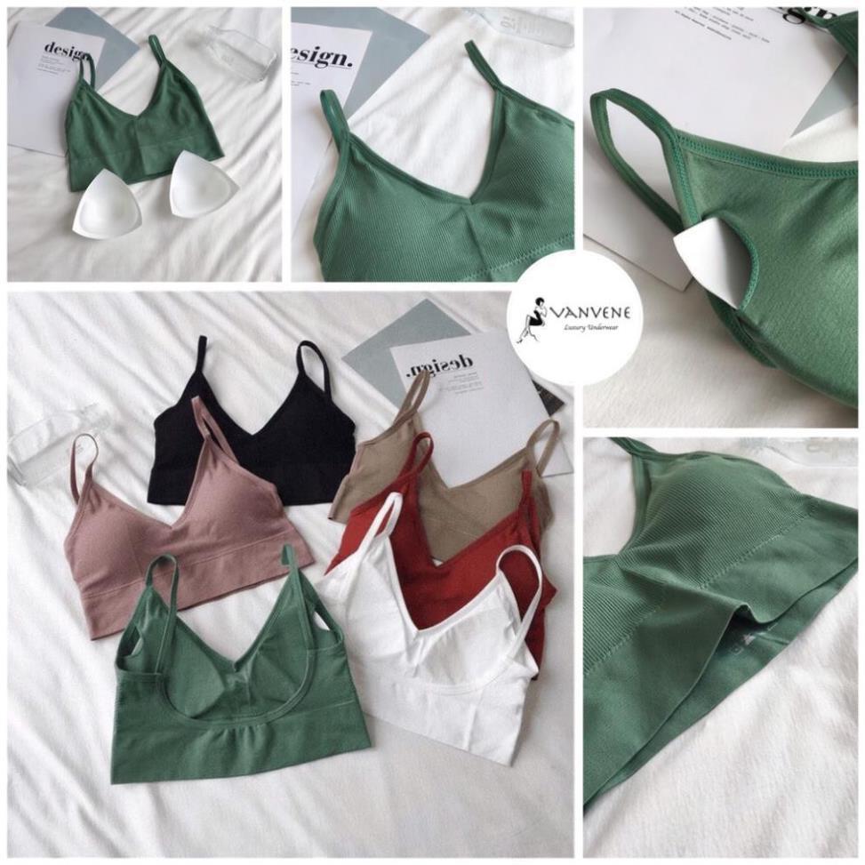 ÁO LÓT BRA COTTON TĂM HỞ LƯNG - KHOÉT LƯNG FREE SIZE 40-55 KG A906