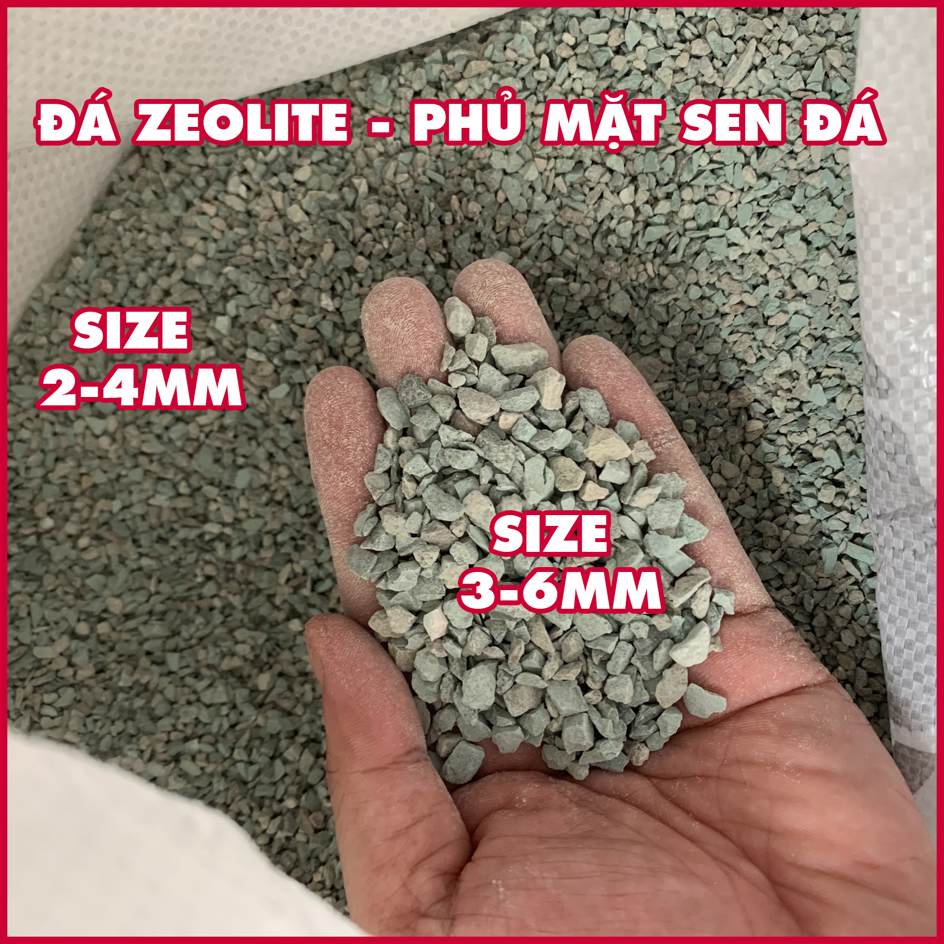 [500gr mua 5 tặng 1] Đá Zeolite stone - phủ mặt sen đá