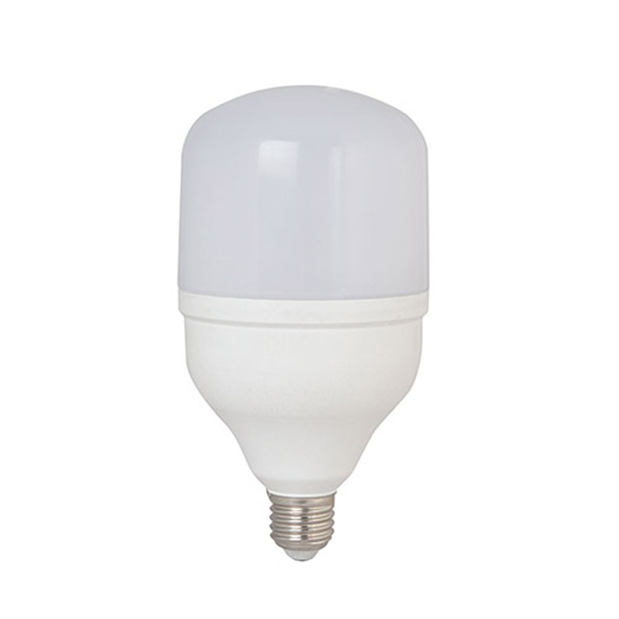 06 Bóng đèn led trụ 8W Rạng Đông, Model LED TR50N1/8w