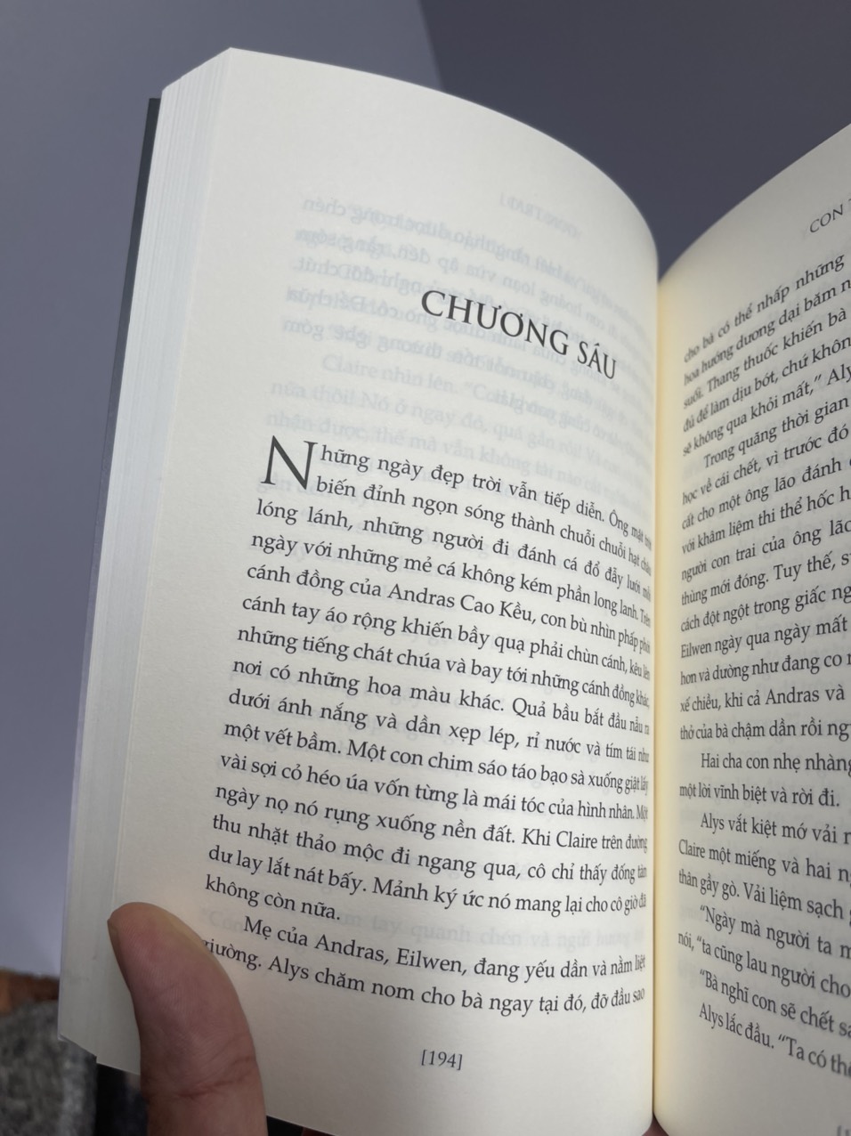 CON TRAI  – Lois Lowry – Mèo Xanh Biển dịch – Nhã Nam