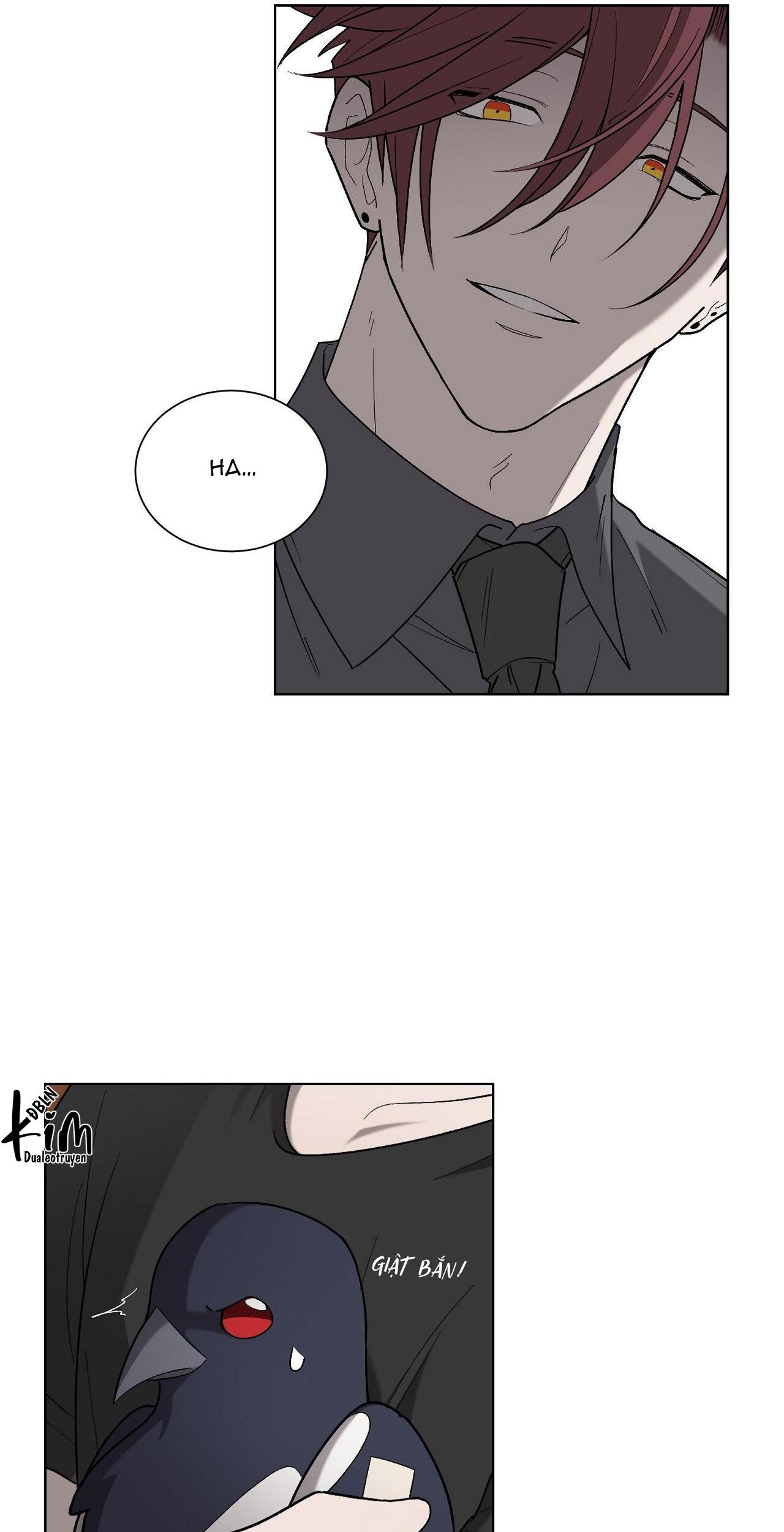 khi chim thước đến chapter 19 12