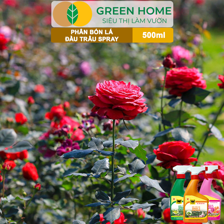 Bộ 3 Phân Bón Lá Đầu Trâu Spray 1, 2, 3 Greenhome, Bình Điền, Chai 500ml, Cao Cấp, Chuyên Cho Hoa Kiểng