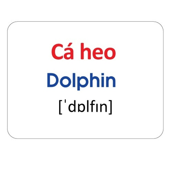 Flash card Theo phương pháp giáo dục sớm của Glenn Doman – Thẻ học thông minh (song ngữ Anh Việt) - Chủ đề: Động vật sống dưới nước