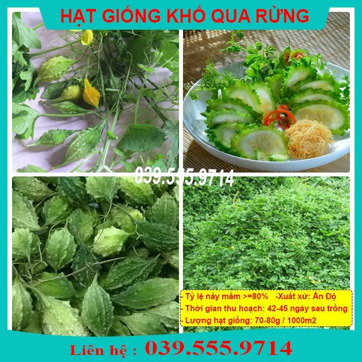 HẠT GIỐNG KHỔ QUA RỪNG - GIÀU DINH DƯỠNG