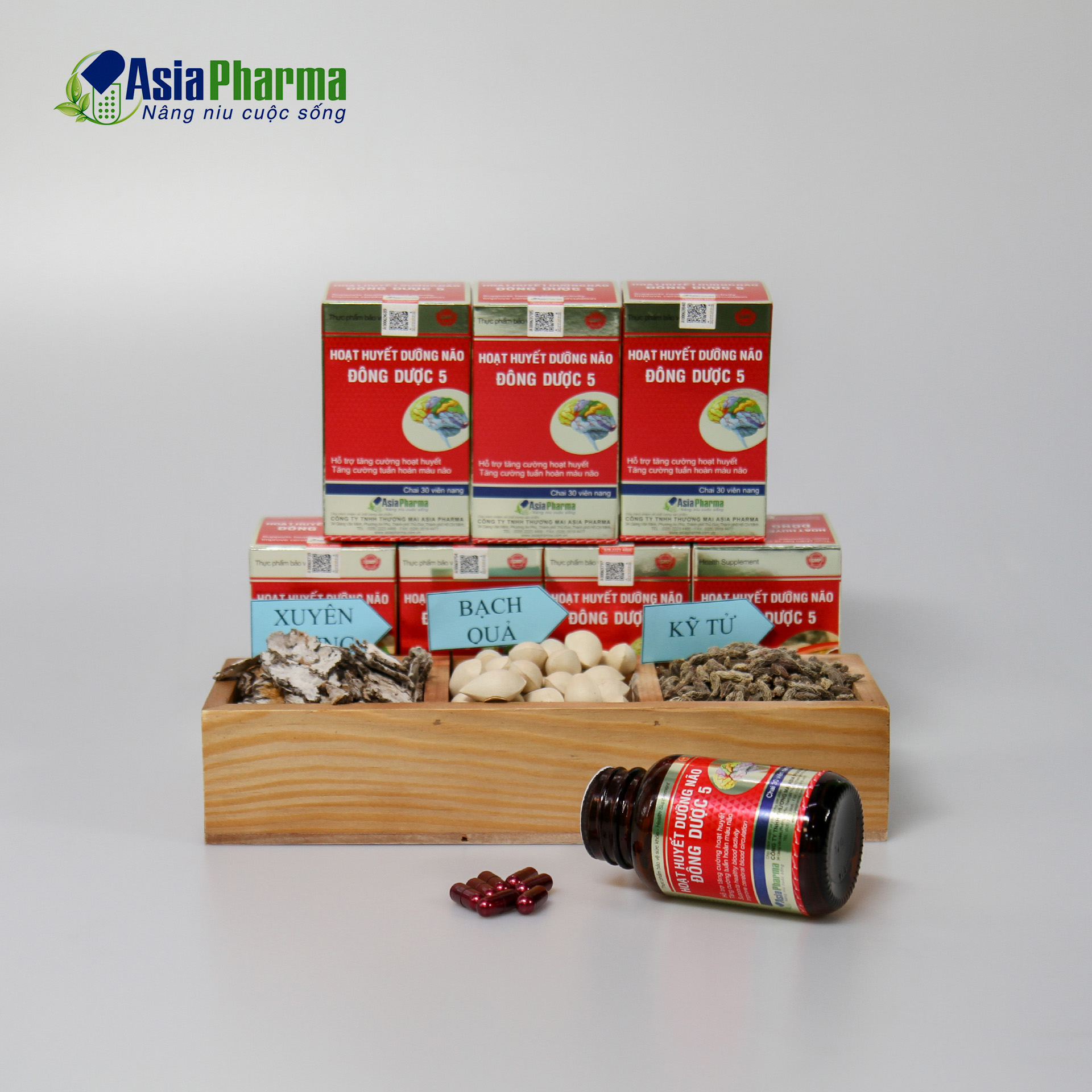 Combo 12 hộp viên uống hoạt huyết dưỡng não đông dược 5 hỗ trợ thiểu năng tuần hoàn não, giảm đau đầu, thực phẩm chức năng bổ não