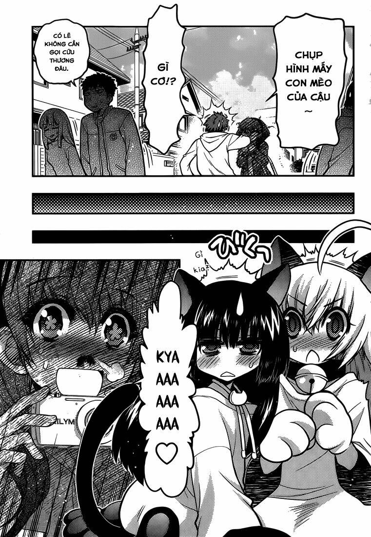 tamanyan chapter 6 23