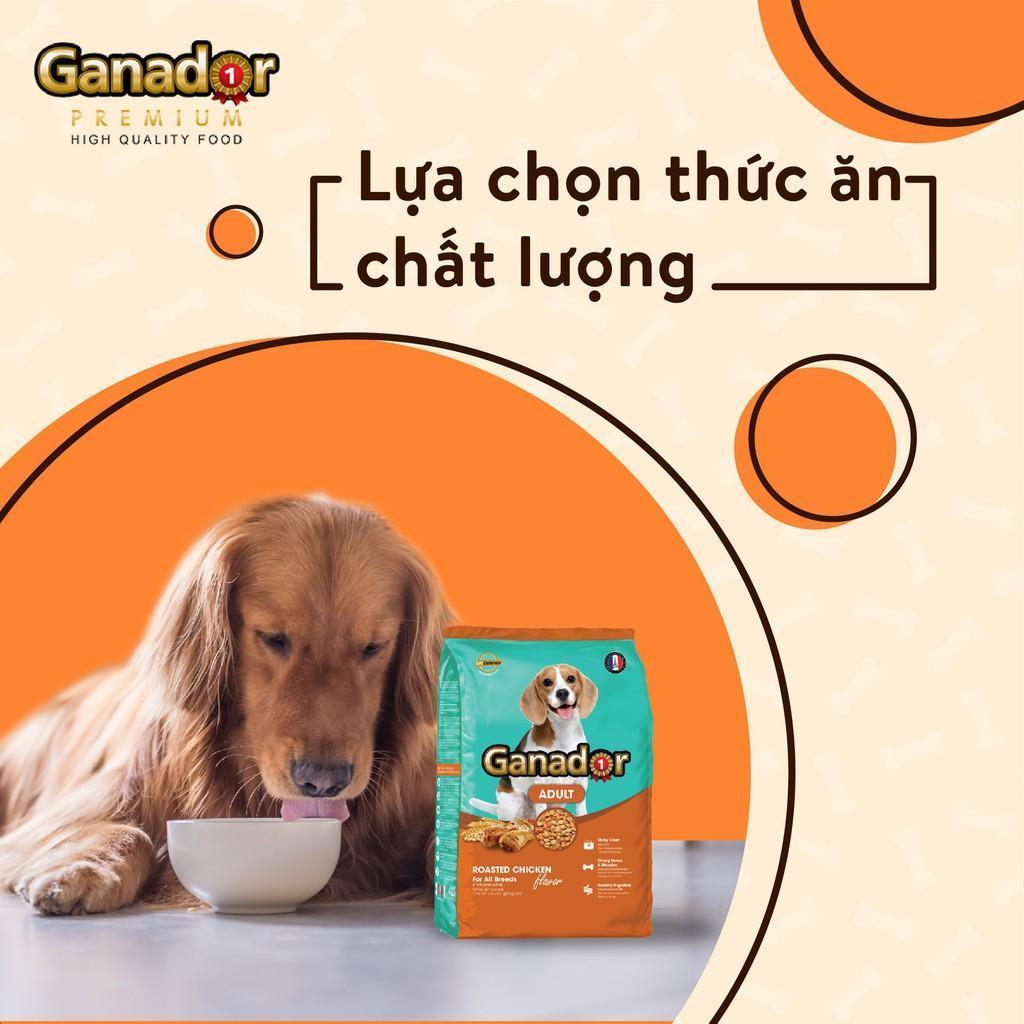 Thức ăn cho chó trưởng thành Ganador vị gà nướng THÙNG 4gói x 3kg