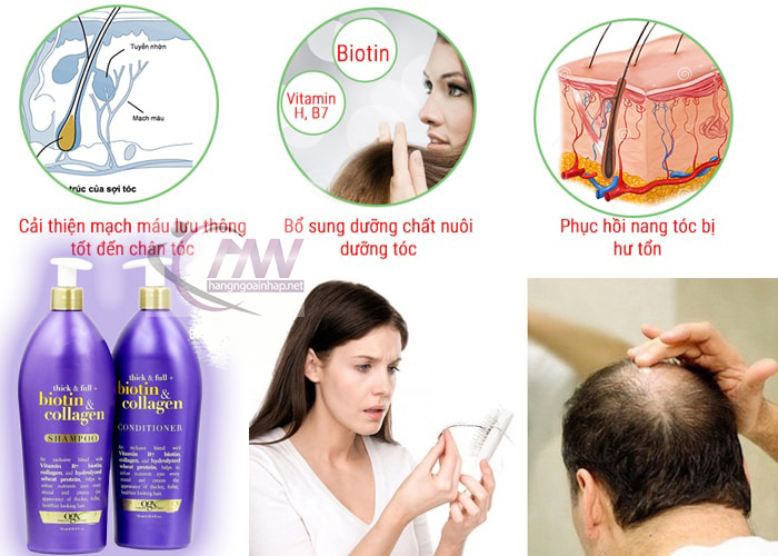 Dầu Gội Ngăn Ngừa Rụng Tóc OgX Biotin &amp; Collagen 385 ml - USA