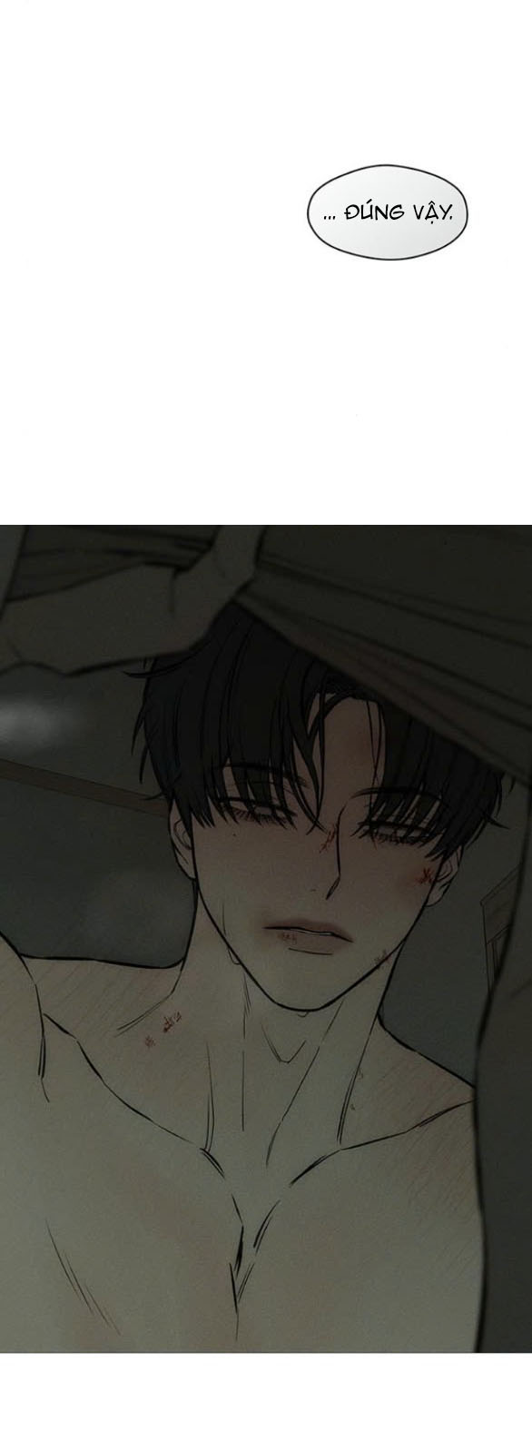 [18+] Nước Mắt Trên Đóa Hoa Tàn chapter 39.1 28