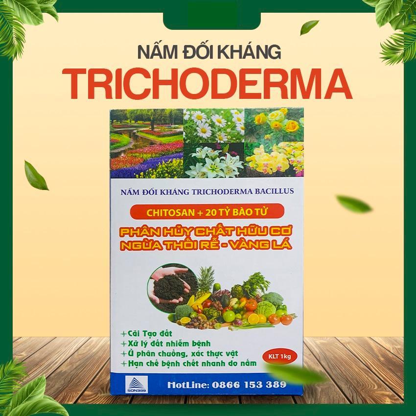 NẤM ĐỐI KHÁNG TRICHODERMA BACILLUS HỘP 1KG - KHÁNG NẤM GÂY BỆNH