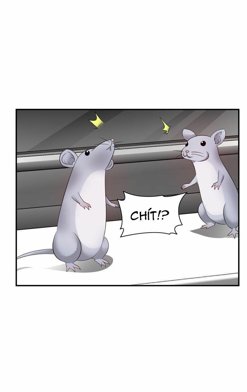 thủ hội chi vũ chapter 20 25