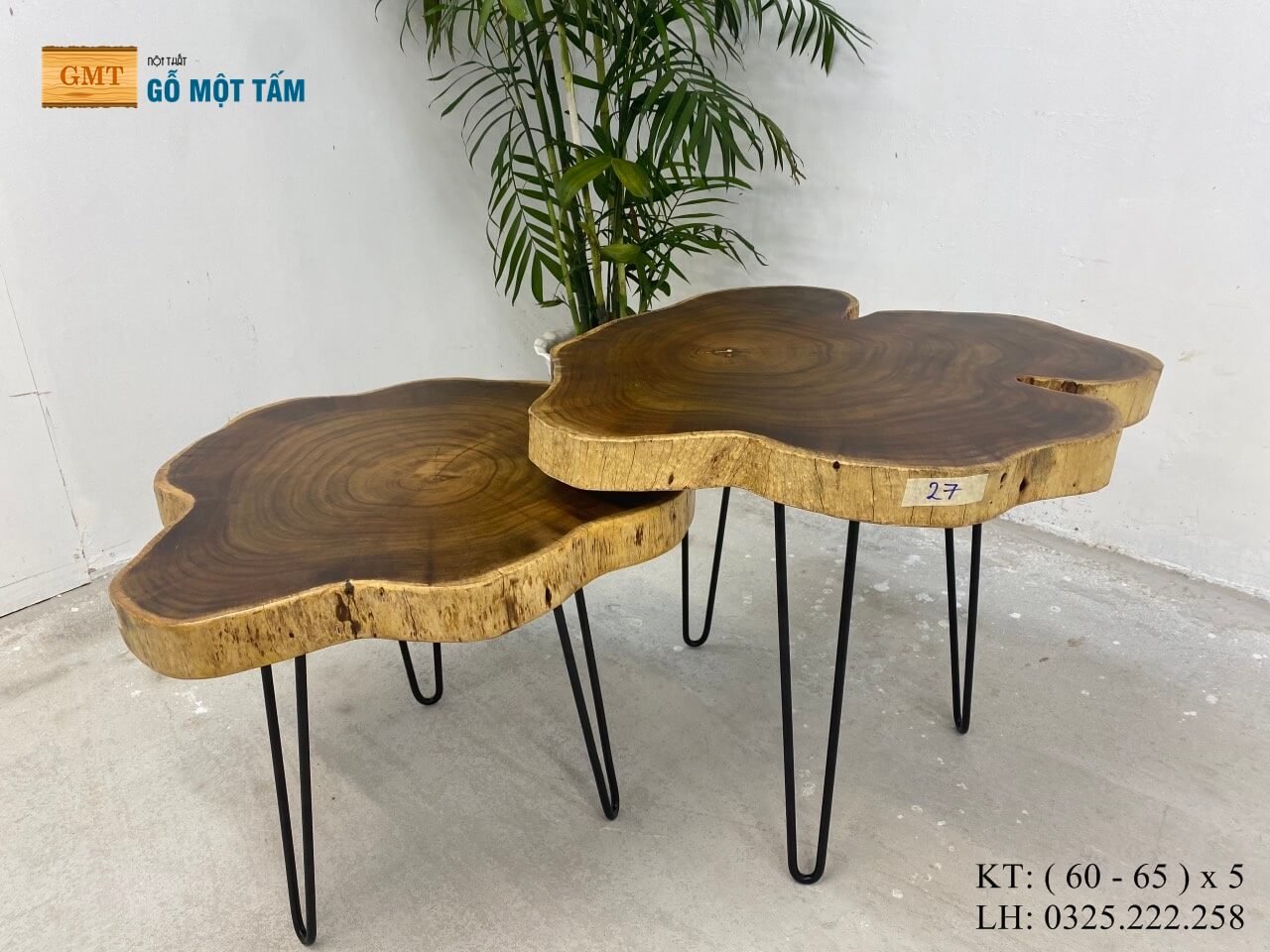 Mặt Bàn Tròn Gỗ Tràm Vàng, Bàn Cafe Gỗ Tự Nhiên, Bàn Sofa Gỗ Tràm Rộng 65cm Dày 5cm