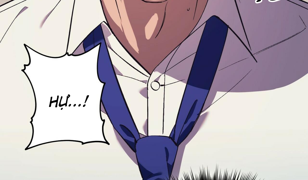 chàng dâu nhà họ kang chapter 16 78