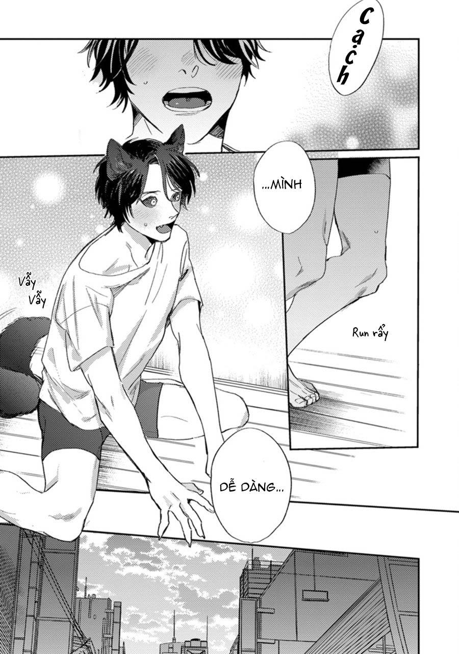 sự rung động thuần khiết chapter 3 13