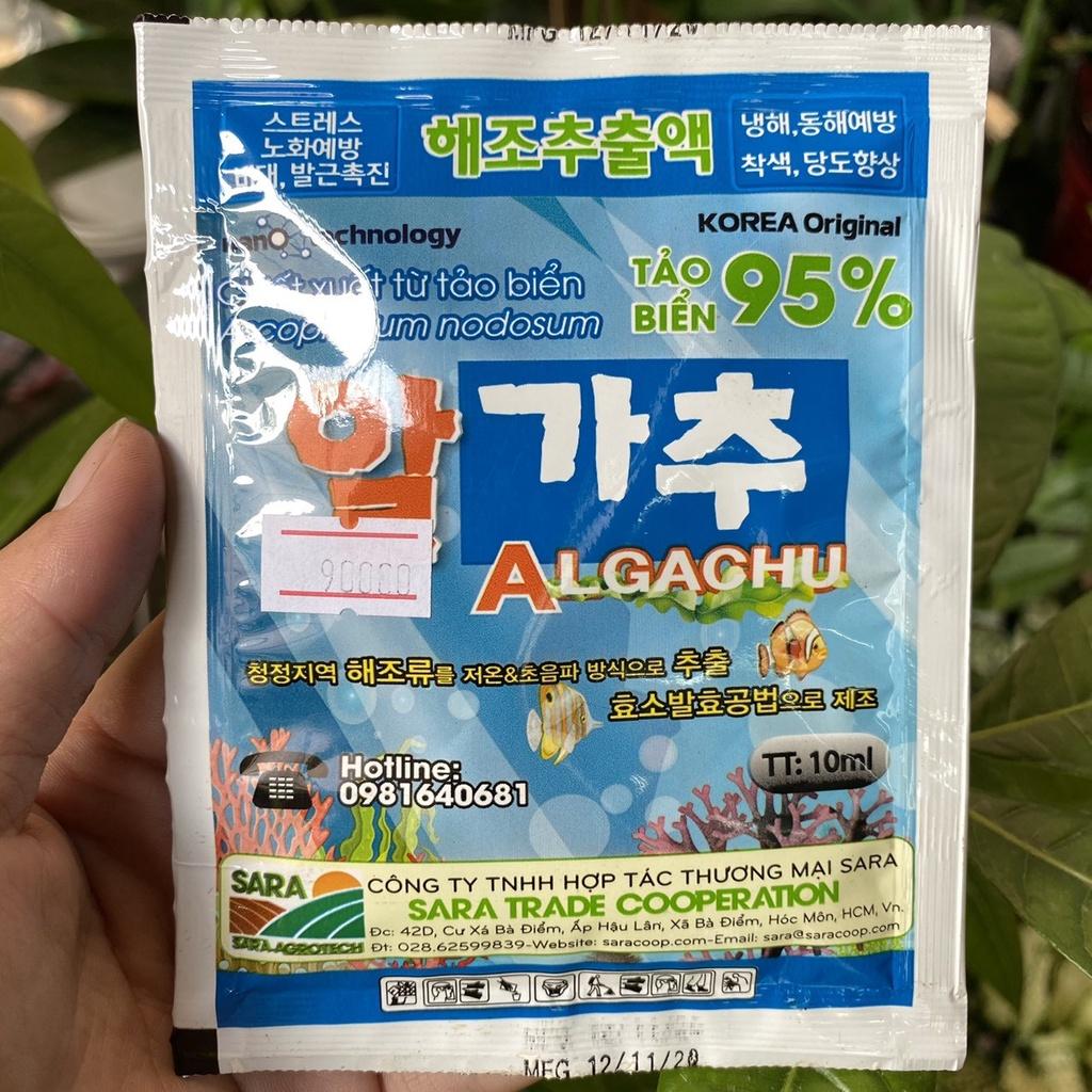 Combo 3 bịch tảo biển Algachu 10ml/bịch tiếp sức, tăng sức đề kháng cho cây trồng