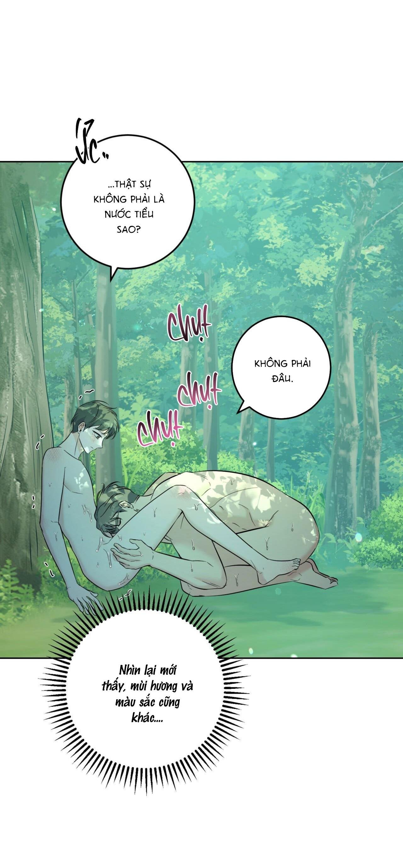 khu rừng tĩnh lặng chapter 28 13