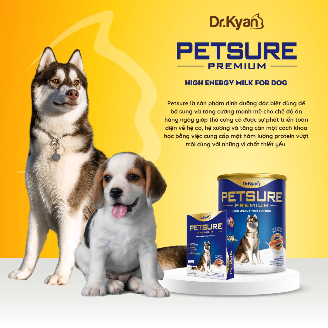 Dr.Kyan - Sữa bột PETSURE - Cao năng lượng cho chó lon 400g