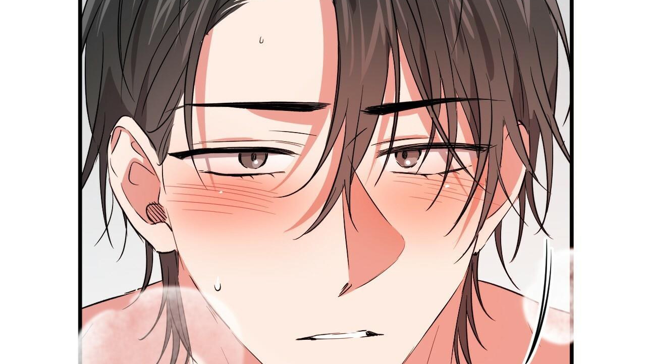 đàn thỏ của habibi chapter 54 161