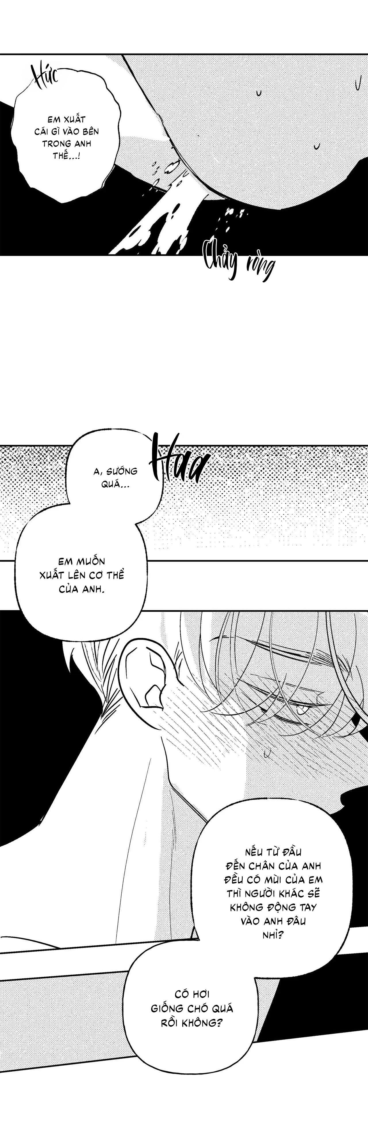 (cbunu) sự kết hợp hoàn hảo chapter 47 19