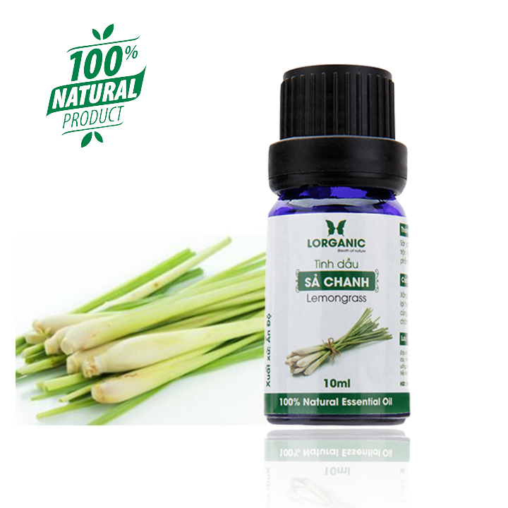 Máy khuếch tán bí tròn vân gỗ sáng FX2036 + Tinh dầu sả chanh + Tinh dầu bưởi chùm Lorganic (10ml x2)