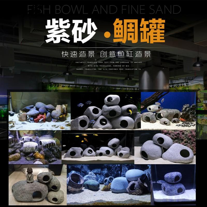 Hang cá ali ZS 1001 - hang pleco - trang trí bể tép - bể thủy sinh - hồ cá cảnh - biotop - bò sát