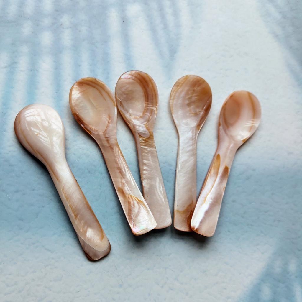Thìa Trai Hồng 10cm Xúc Trứng Cá Hồi, Trứng Cua, Thìa Trai Tự Nhiên Chụp Ảnh Decor