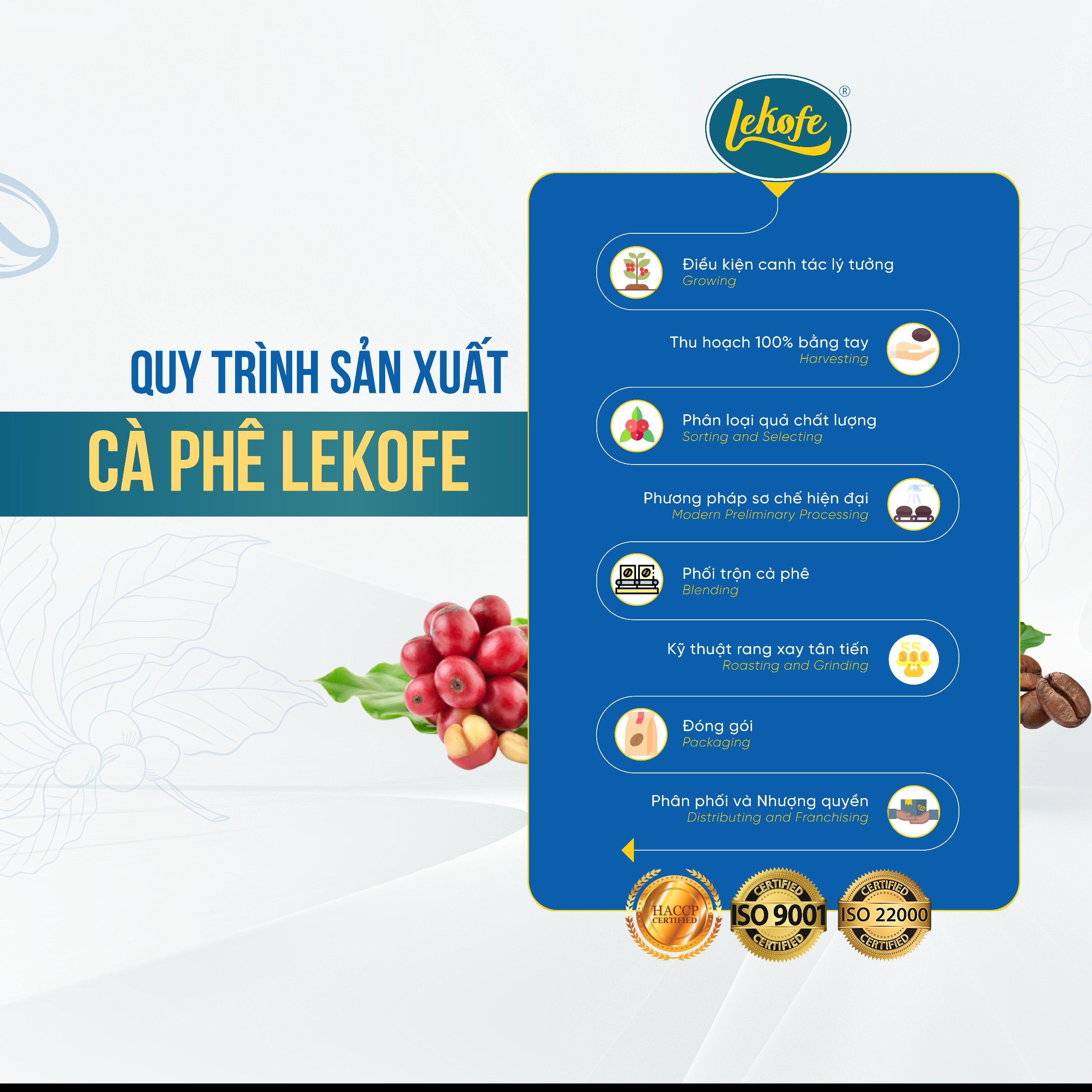 Cà phê nguyên hạt Bình Minh Lekofe 100% Robusta Đắng đậm chát nhẹ Túi 1000gram