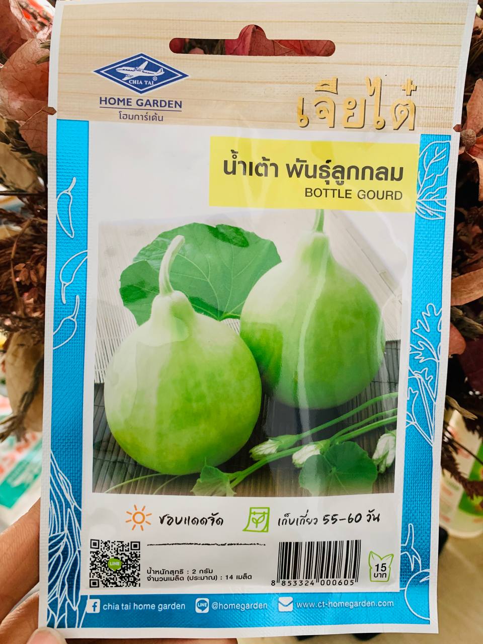 Hạt giống bầu tròn Thái Lan