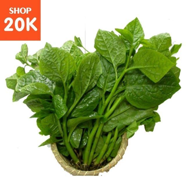 Hạt giống rau mồng tơi