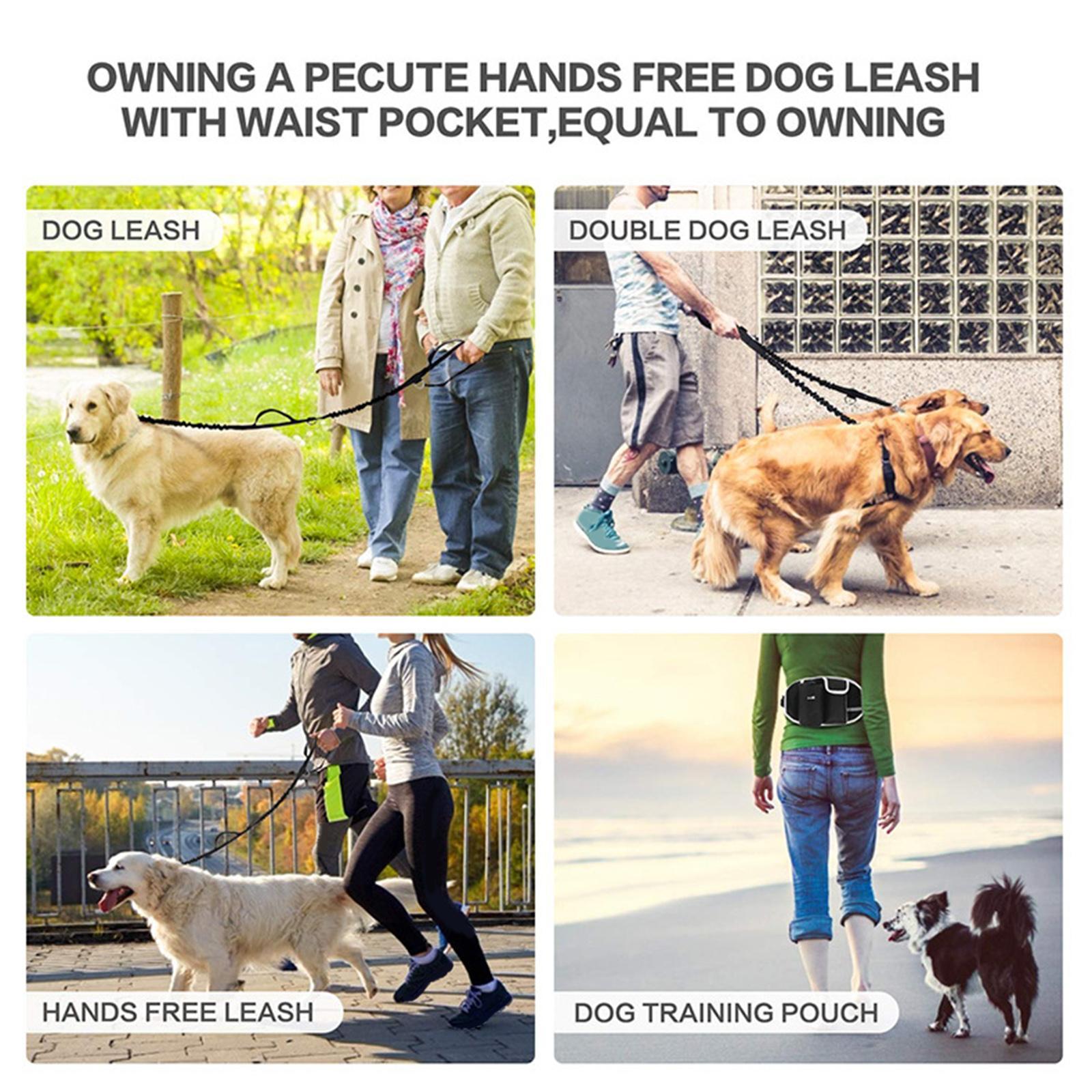 Hands Leash Running Waist Belt Pet Walking Elastic Leashes+Bag