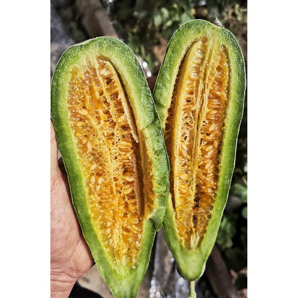 Hạt giống Dưa lê quả dài Yang Jiao Mi F1 - Dưa lê chuối 0.3gr/gói