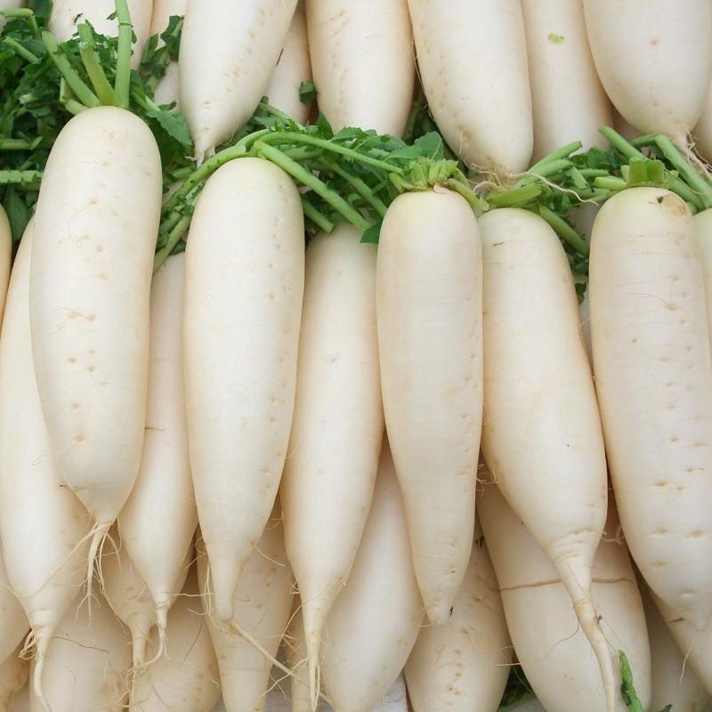 Hạt Giống Củ Cải Trắng Cao Sản