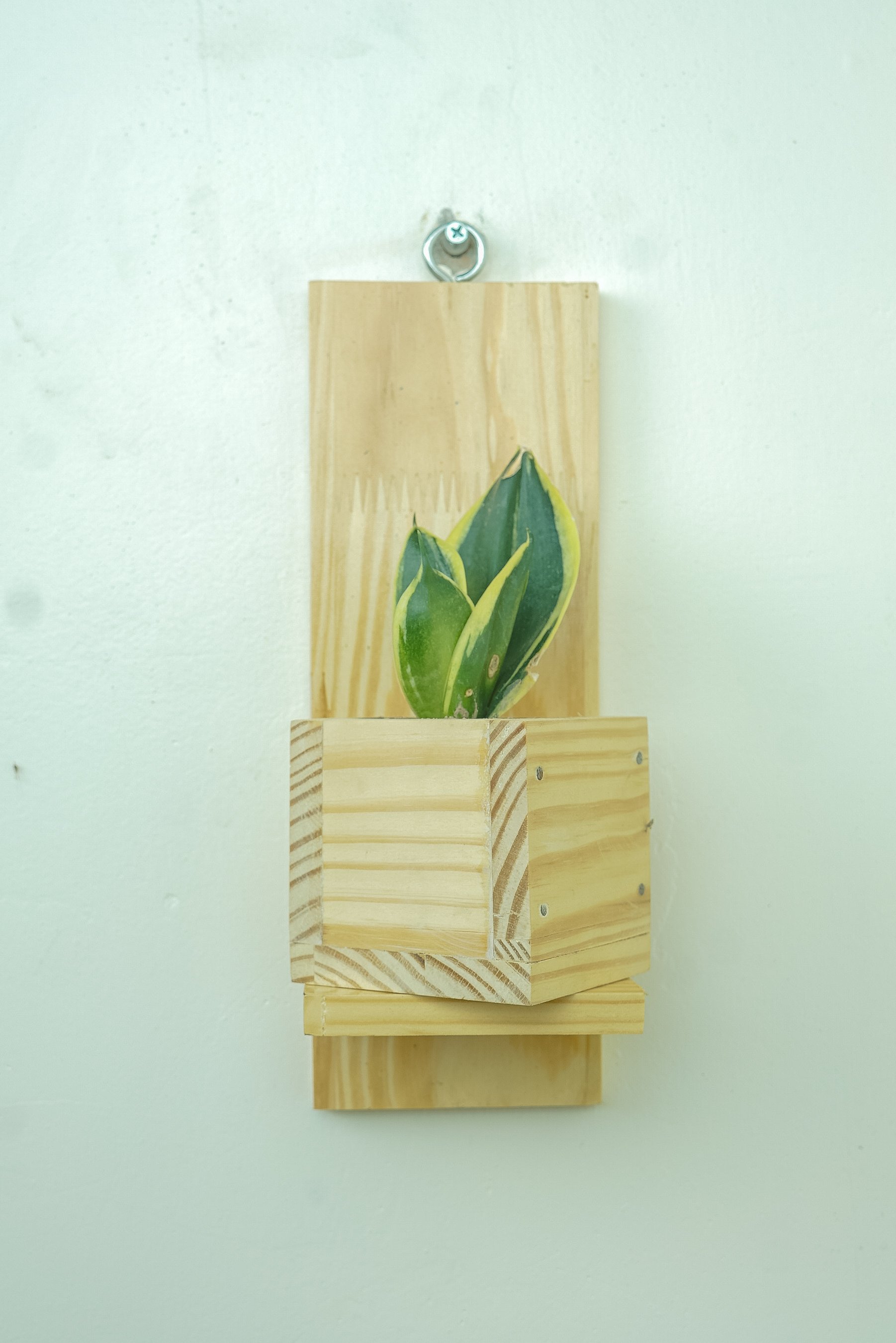 Kệ treo tường trang trí đựng chậu hoa cây cảnh xinh không cần khoan tường kích thước 30x10x10 cm