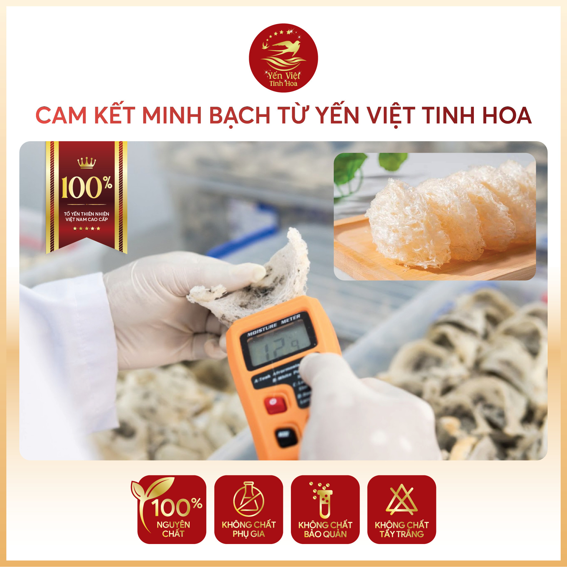 Tổ yến rút lông thượng hạng 100 gram Yến Việt Tinh Hoa  - Hàng chính hãng