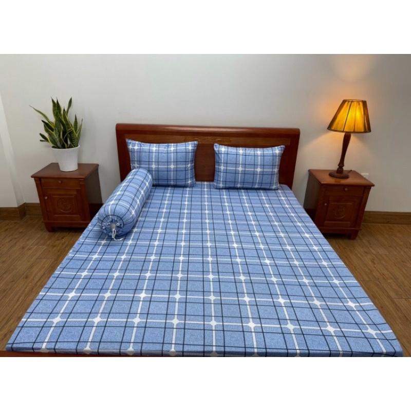 GIÁ SỈ Bộ Ga gối thun lạnh Hàn Quốc xịn -mềm mát giá tốt nhất 1m-1m8x2m