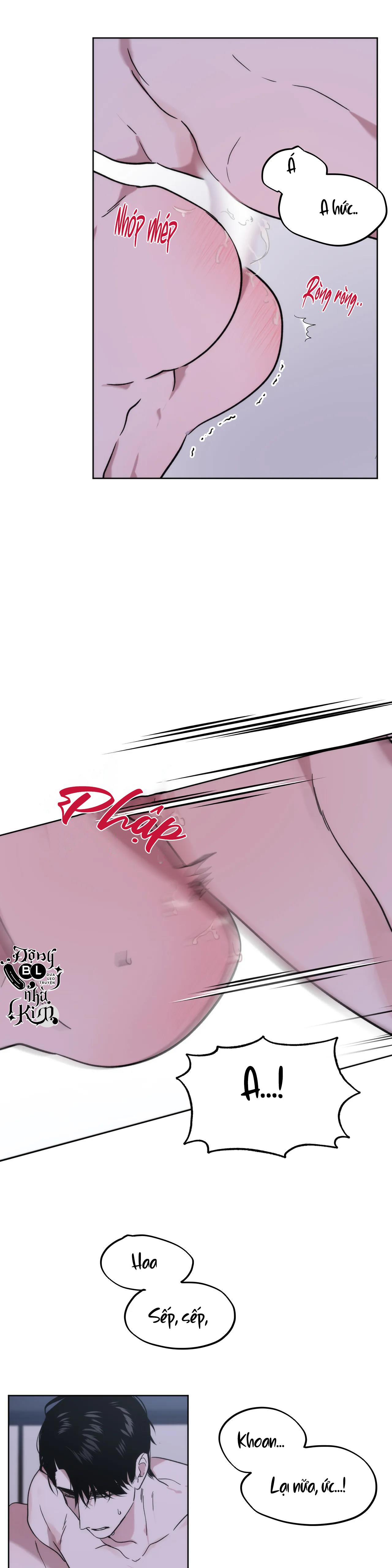 đã hiểu chưa chapter 12 22