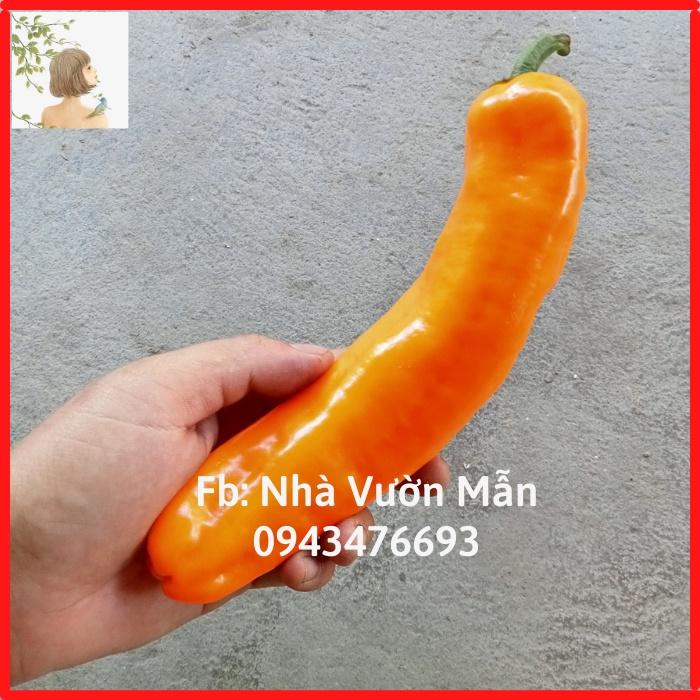 Hạt Giống Ớt Ngọt Sweet Palermo Orange