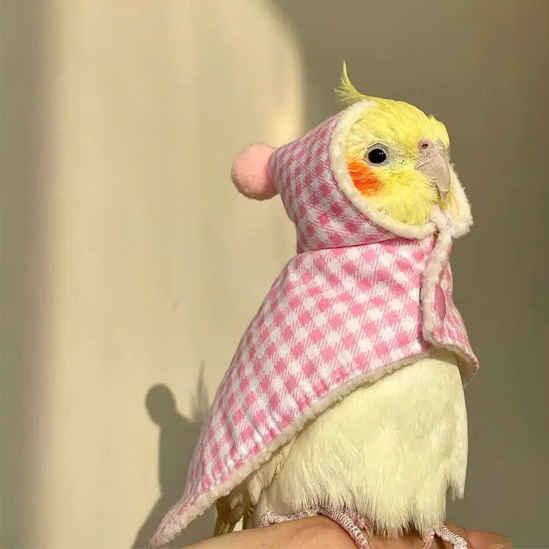 QUẦN ÁO CHO CHIM CẢNH CHIM VẸT CHIM PAROT CHIM SẺ DỄ THƯƠNG MÃ 2 XINH XẮN CHO CHIM THÚ CƯNG