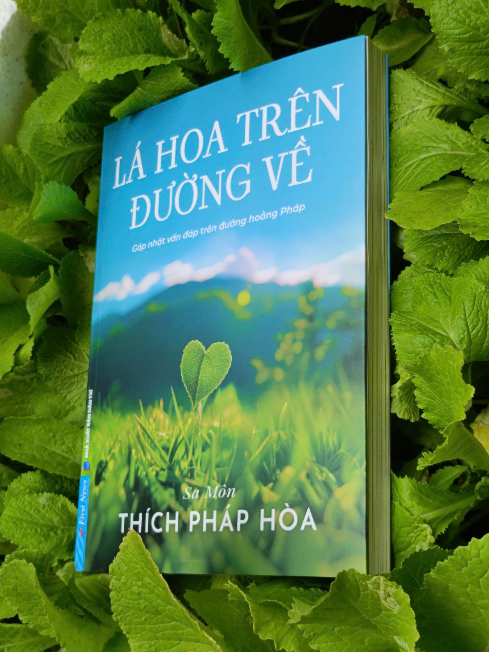 Sách Lá Hoa Trên Đường Về - Thầy Thích Pháp hòa