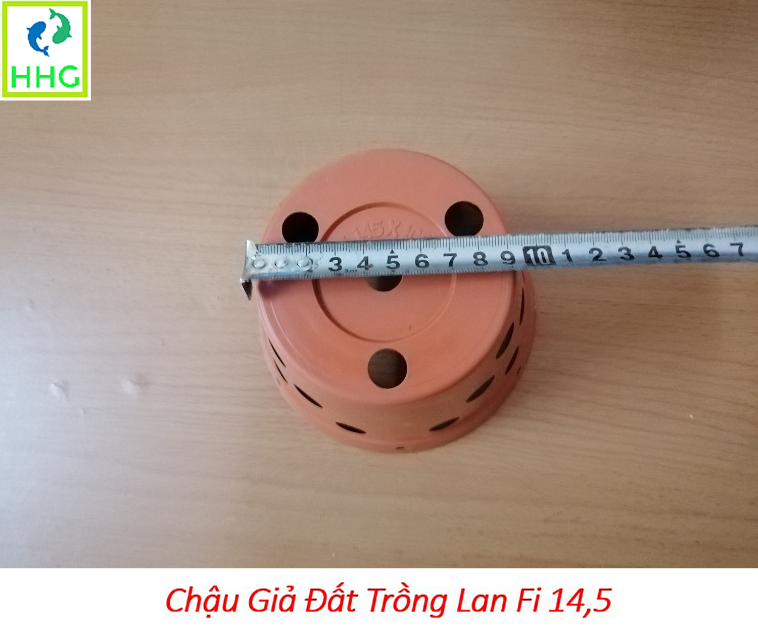 5 chậu giả đất trồng lan Fi 14.5 - đường kính 14.5cm