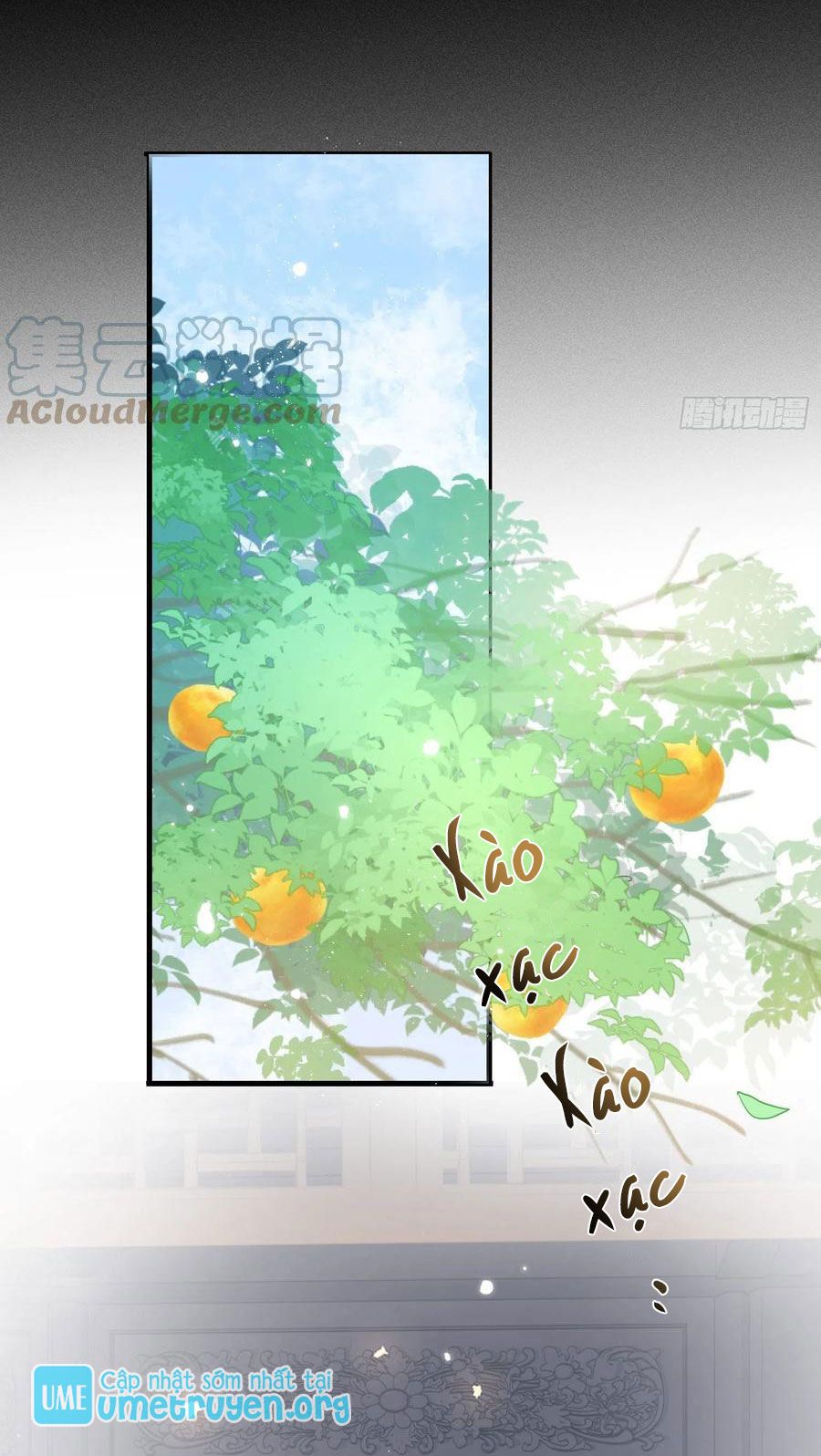 lục thân bất nhận chapter 62 5