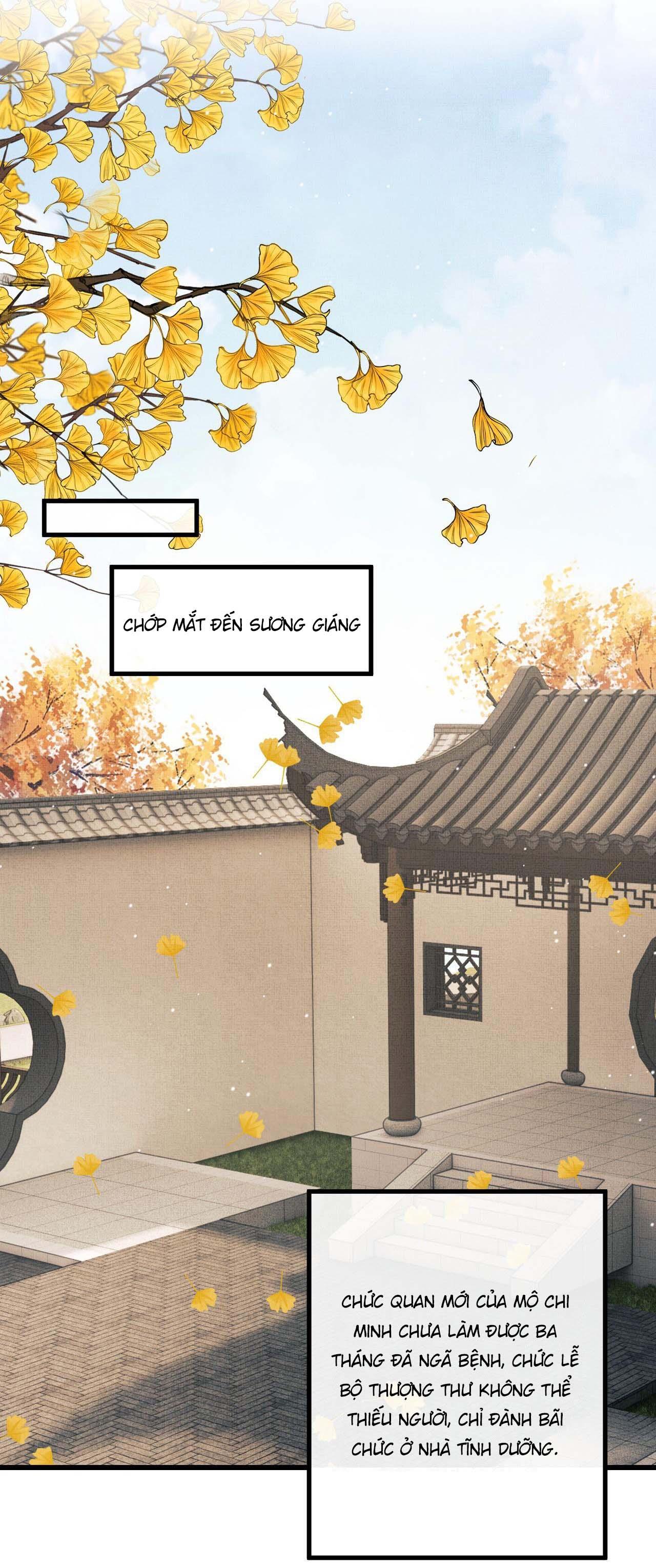 tướng quân luôn tự coi mình thành thế thân chapter 75 3