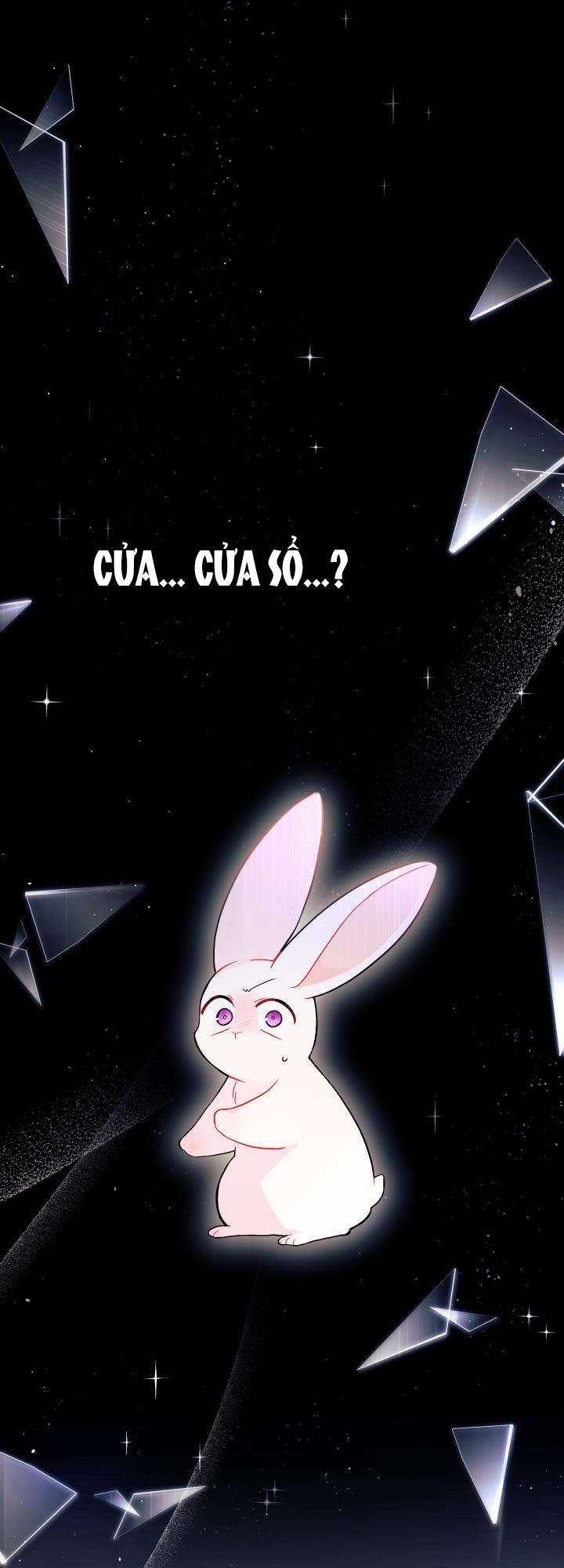 mối liên kết giữa báo đen và bé thỏ chapter 27 36