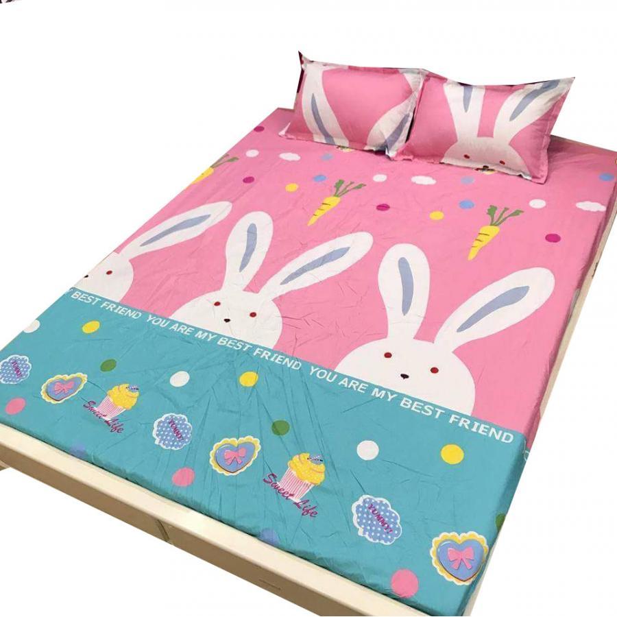 Set 5 món chăn hè ga chun Cotton Poly thỏ hồng