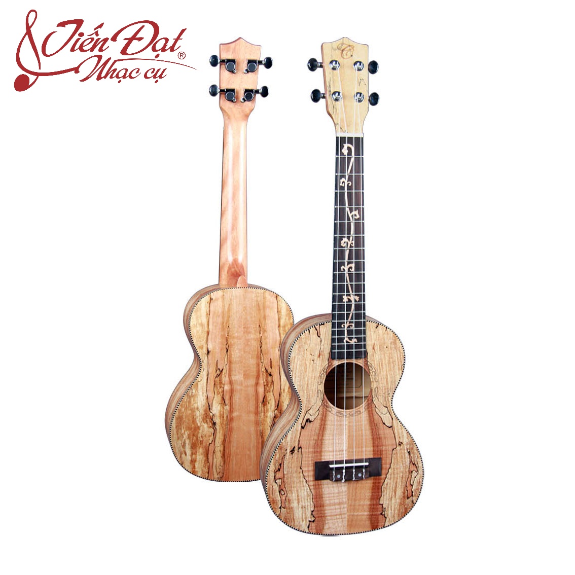 Đàn Ukulele Concert Chard U-24I, Mặt Đàn Gỗ Vân Mộc - Hàng Chính Hãng