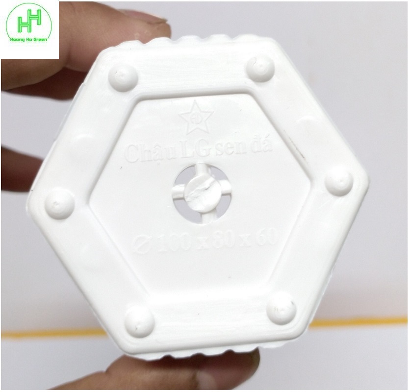 Combo Chậu nhựa Lục giác Sen đá 100x80x60 + đĩa lót chậu 85x10 , trồng cây mini, xương rồng, cây để bàn, sen đá